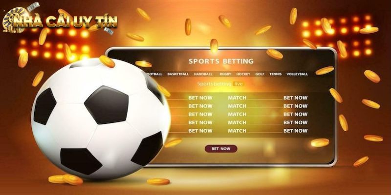 Cược thủ cần tổng hợp đầy đủ các dữ liệu chuyên môn